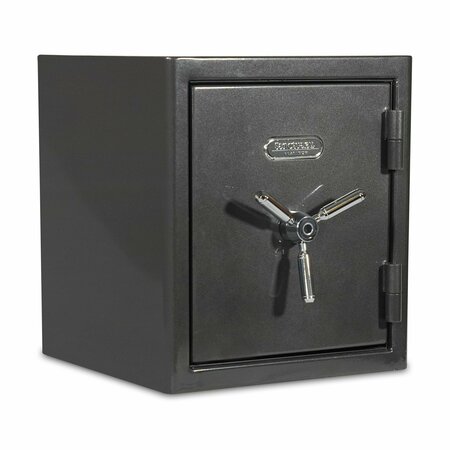 SANCTUARY Platinum 1.96 Cu Ft Fireproof/Waterproof Home and Office Safe w/Biometric Lock, Dark Gray Metallic SA-PLAT2-BIO-DP